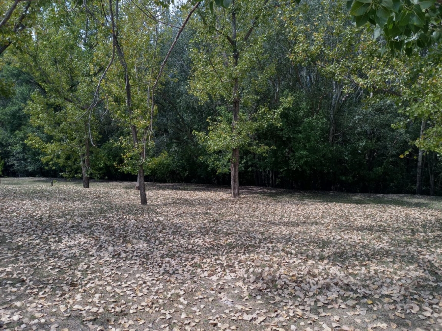 0 Bedroom Property for Sale in Willow Creek Riverfront Residential Estate Free State